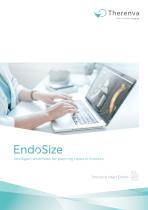EndoSize-1