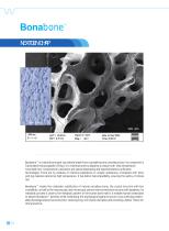 Bonabone Bone graft-2