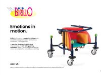 Birillo-3