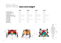Birillo-8
