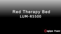 Magique Power Red Therapy Bed LUM-R5500-1