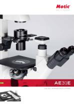 AE31E
