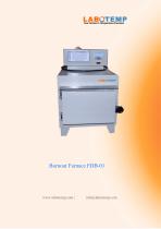 Burnout Furnace FDB-01-1