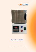 Burnout Furnace FDB-02-1