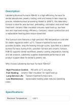 Burnout Furnace FDB-02-2
