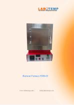 Burnout Furnace FDB-03-1