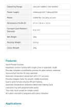 Porcelain furnace FDP-04-3