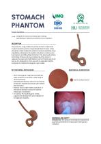STOMACH DATA-SHEET-1