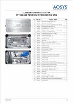 Interlocking Nailing System-11
