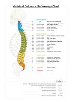 Spine System Catalog-2