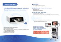 Dynamic-2