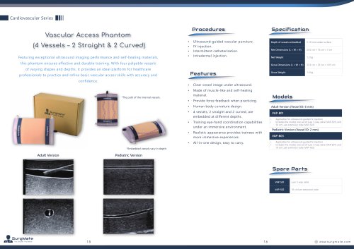 Vascular Access Phantom (4 Vessels – 2 Straight & 2 Curved)
