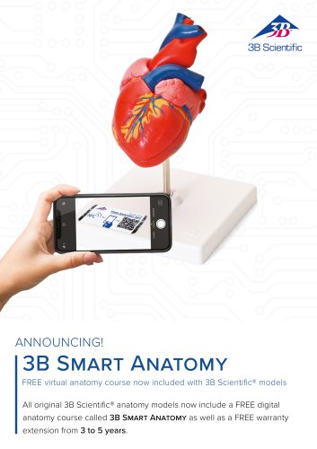 3B Smart Anatomy included with 3B Scientific models