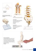 Catalog Natural Sciences - 11