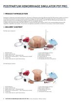 Postpartum Hemorrhage Simulation P97 Pro-3