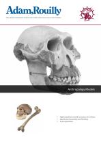 Anthropology Models-1