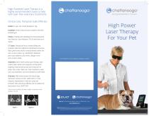 High Power Laser Therapy For Your Pet - 1