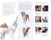 High Power Laser Therapy For Your Pet - 2