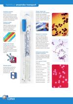 Dry Swabs-6