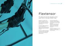Elastic resistance - Flextensor-2