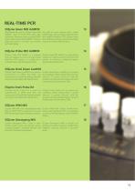 EliZyme Polymerases product catalogue-13
