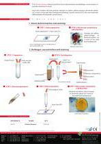 ELIstains Paratest - 2