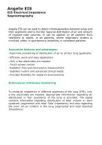 Angelie EIS-2