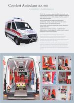 Vehicles and Products -3