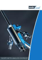 Endoscope with inclined ocular working,  suction , Irrigation chanels-1