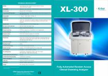 XL-300 - 1