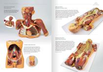 3D Anatomy  Series-6