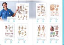 Anatomical Charts - 7