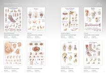 Anatomical Charts-10