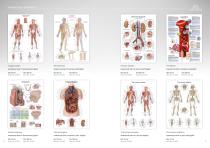 Anatomical Charts-11