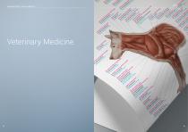 Anatomical Charts-13