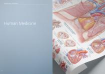 Anatomical Charts-5
