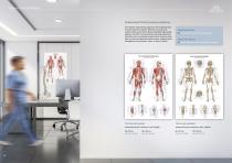 Anatomical Charts-6