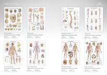 Anatomical Charts-7
