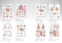 Anatomical Charts-8