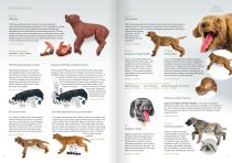 Veterinary Medicine-10