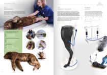 Veterinary Medicine-12
