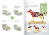 Veterinary Medicine-6