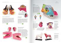 Veterinary Medicine-7