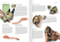 Veterinary Medicine-8