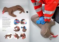 Veterinary Medicine-9