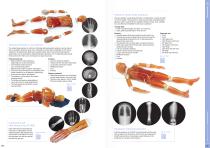 X-Ray Phantoms - 6