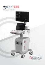 MyLab™E85-1