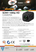 SONY 1080p HD-1
