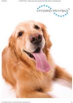 Canine underwater Hydrotherapy Treadmills-1