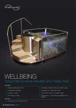 WELLBEING-3
